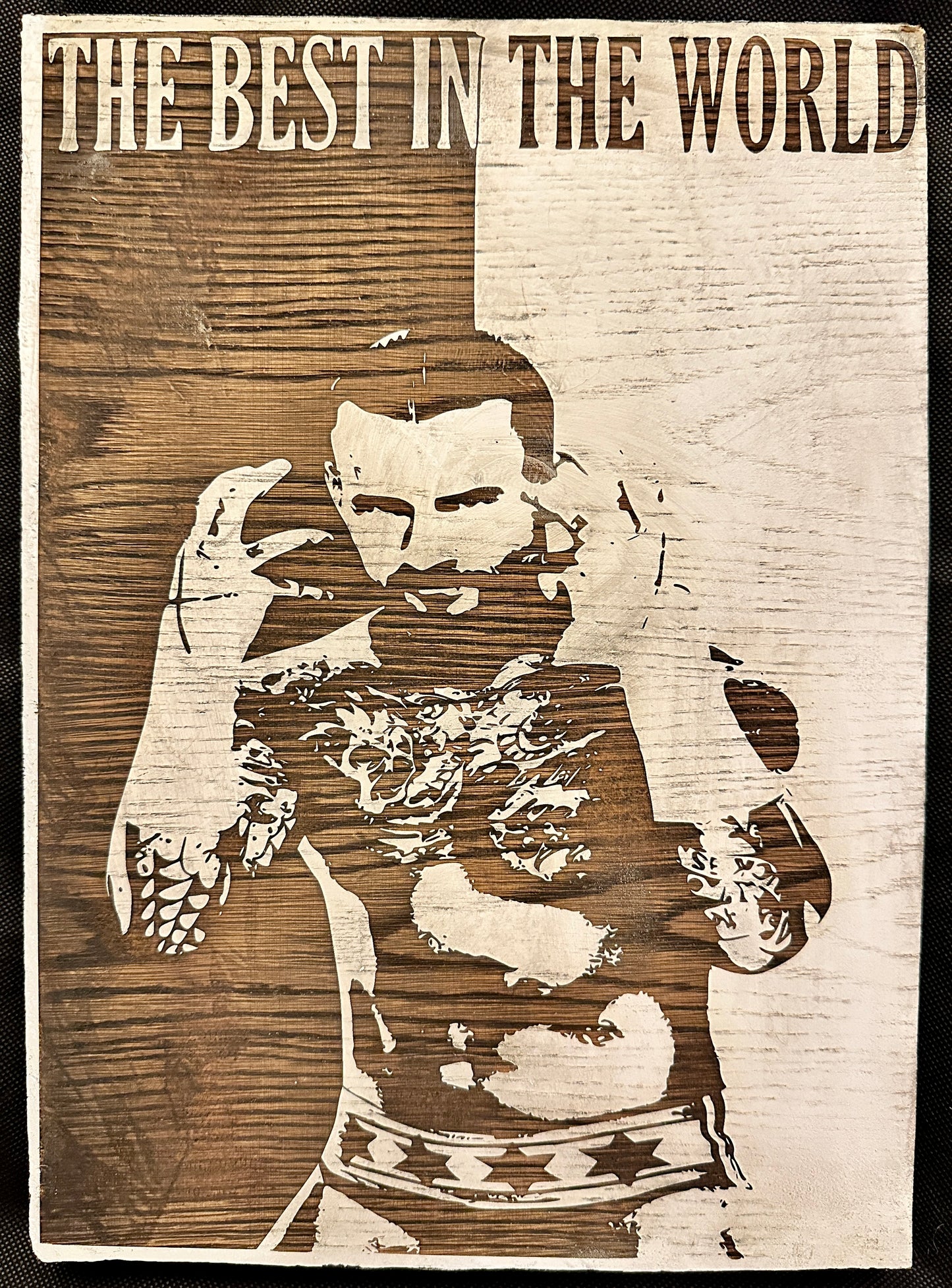 CM Punk Best in the World Plaque