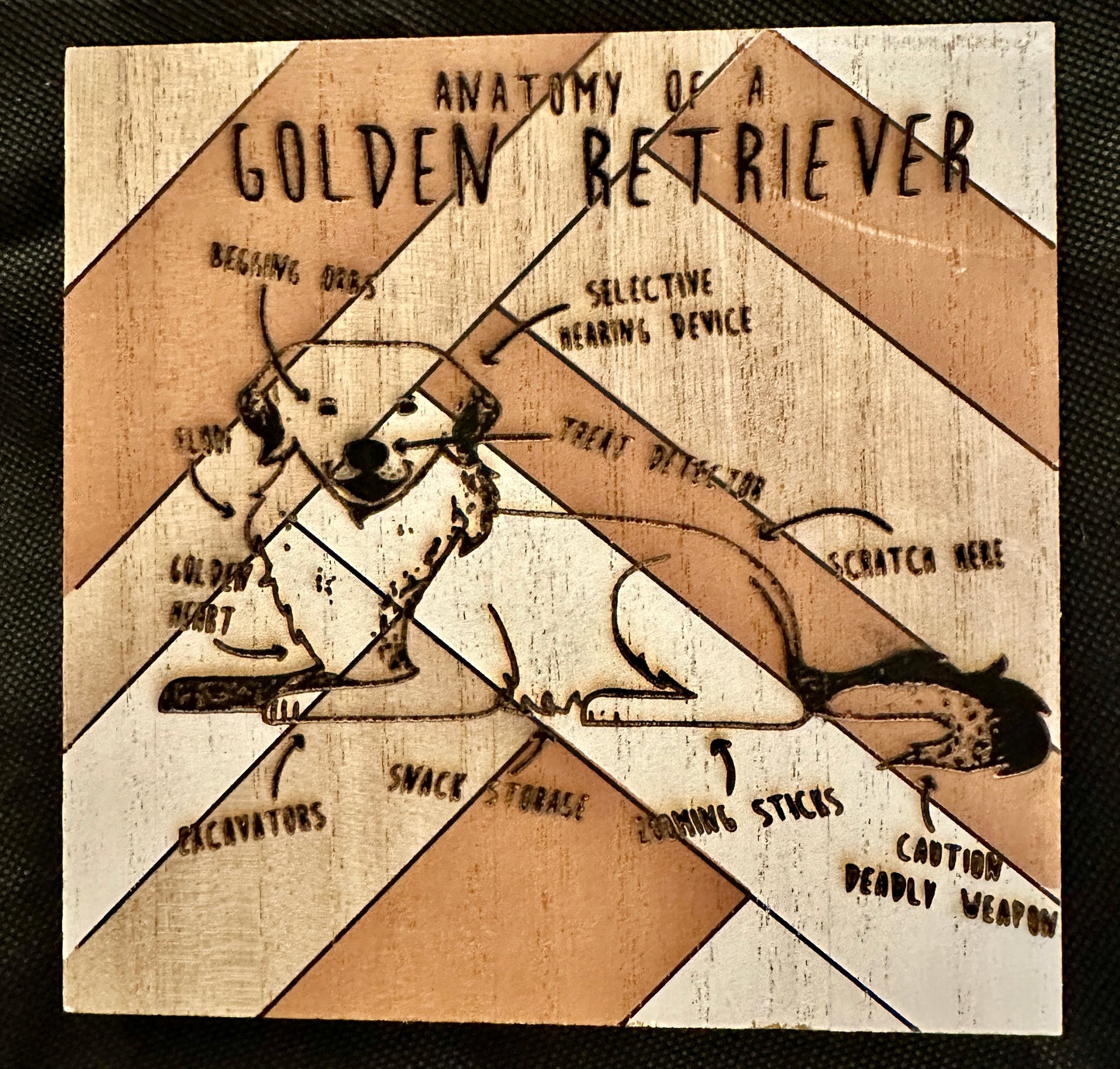 Anatomy of a Golden Retriever Plaque
