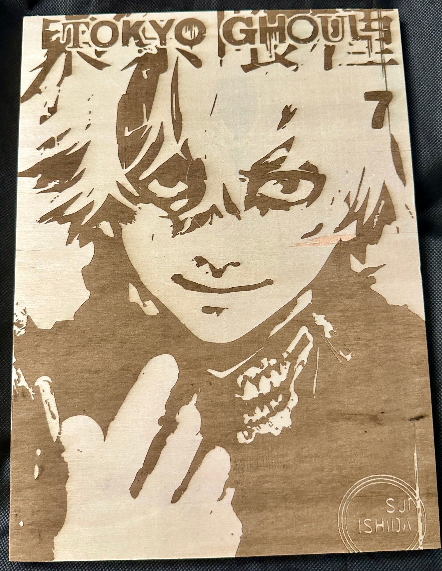 Manga Anime Cover Plaques