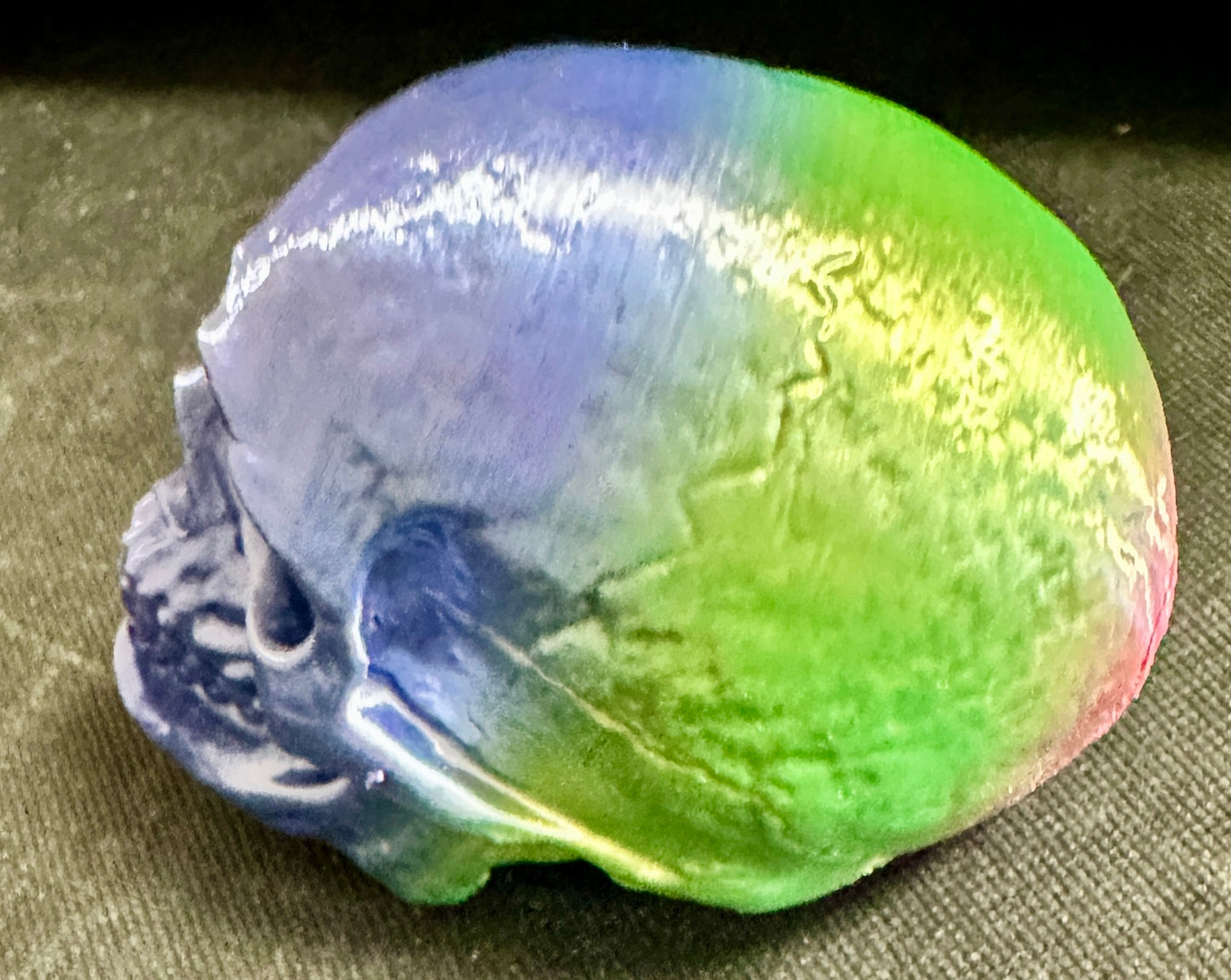 3D Printed Skull