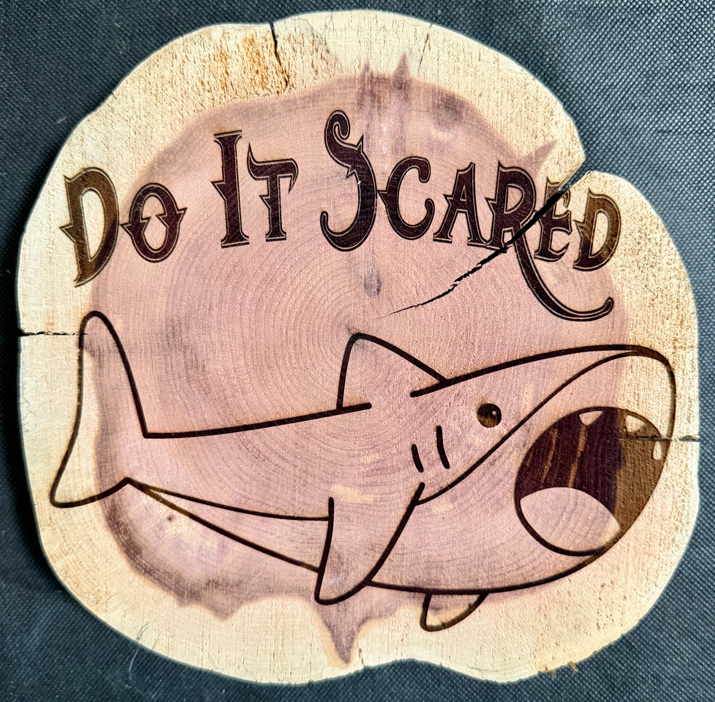 Hell's Belles Do It Scared Sharkey Plaque