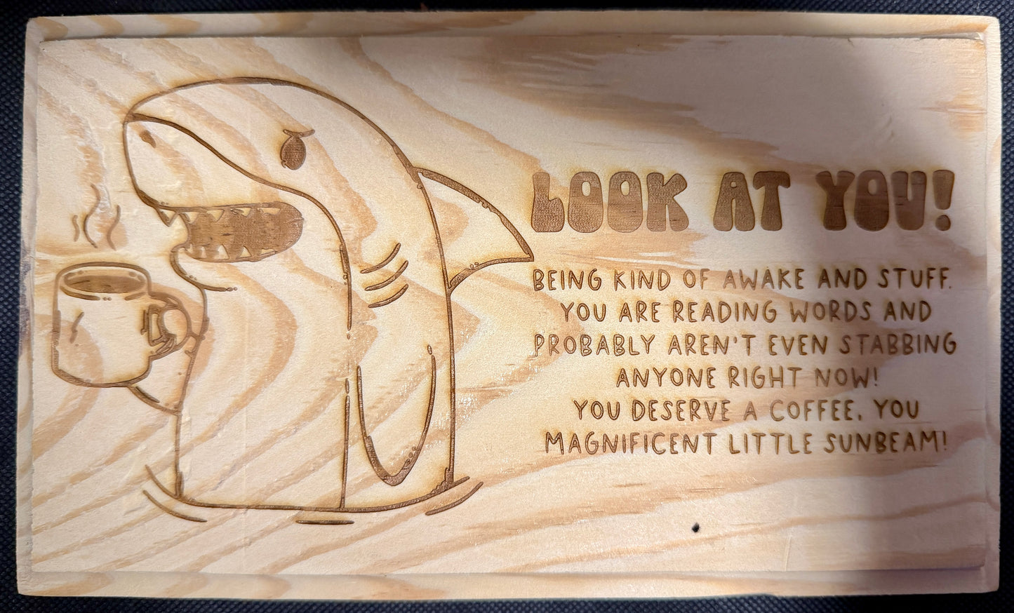 Look At You Shark Plaque
