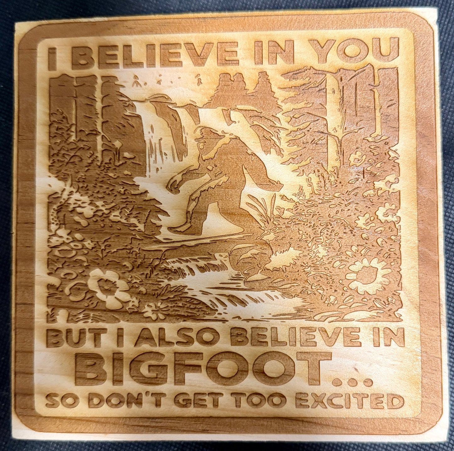 I Believe in You (But I also believe in Bigfoot) Plaque