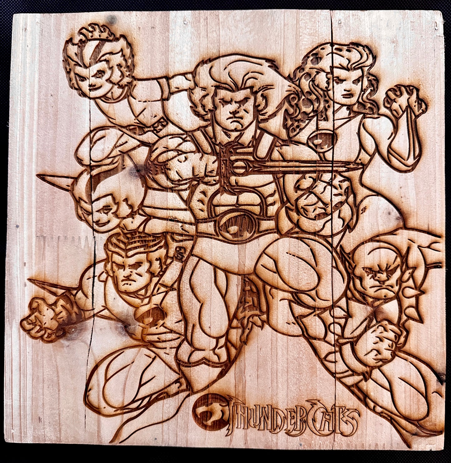 Thundercats Heroes Plaque