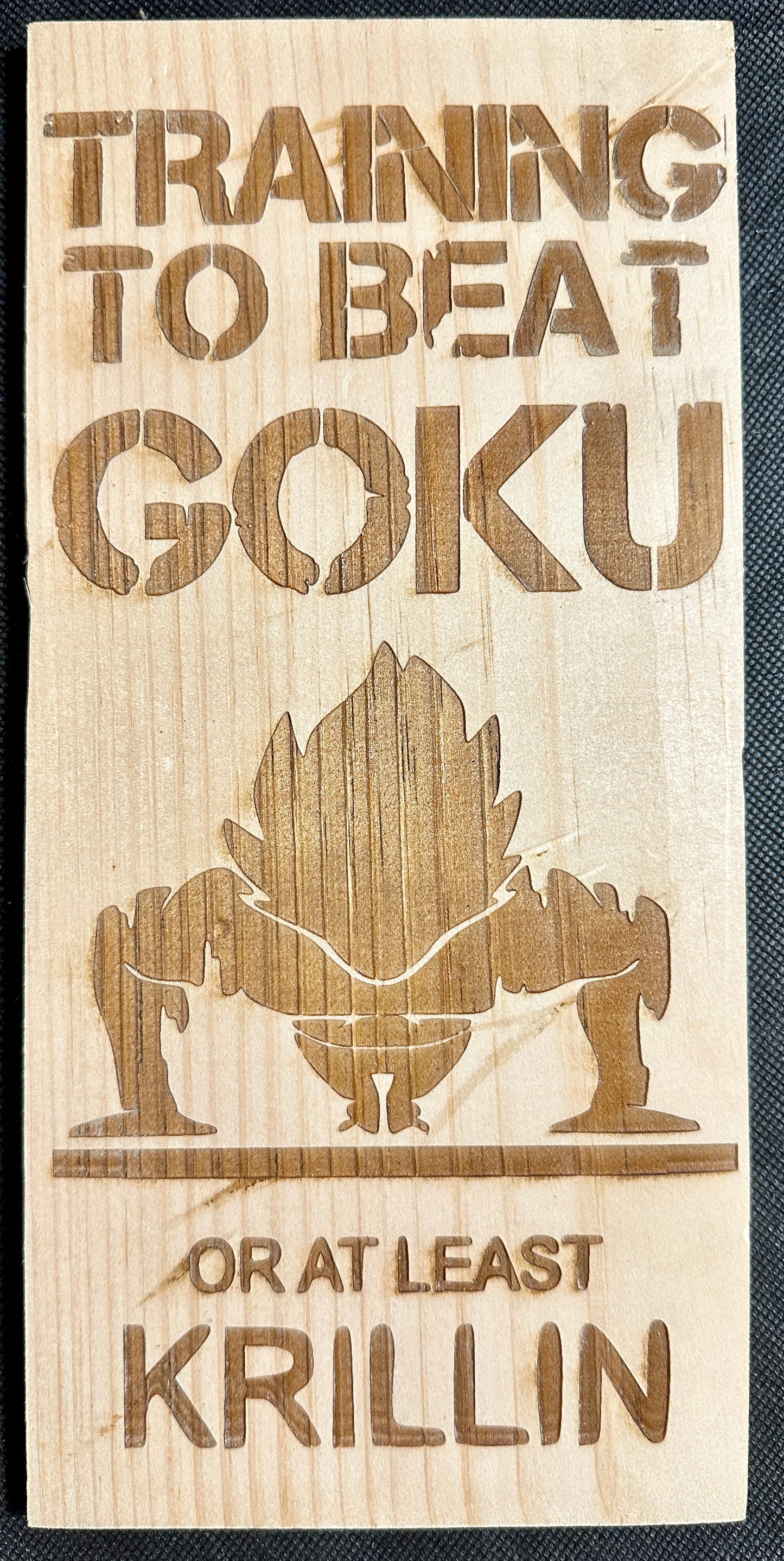 Training to Beat Goku Plaque