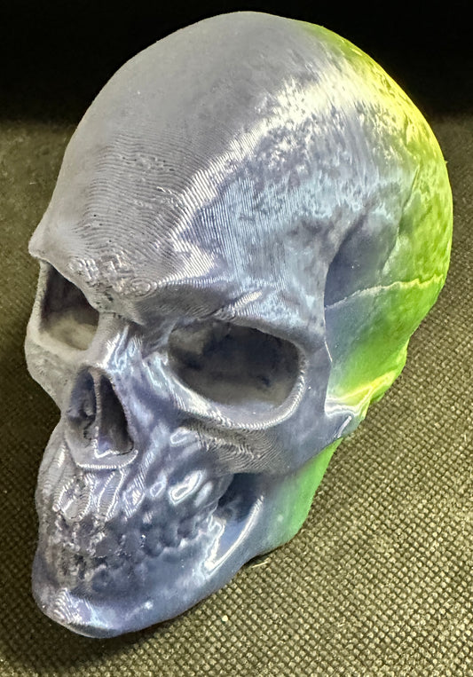 3D Printed Skull