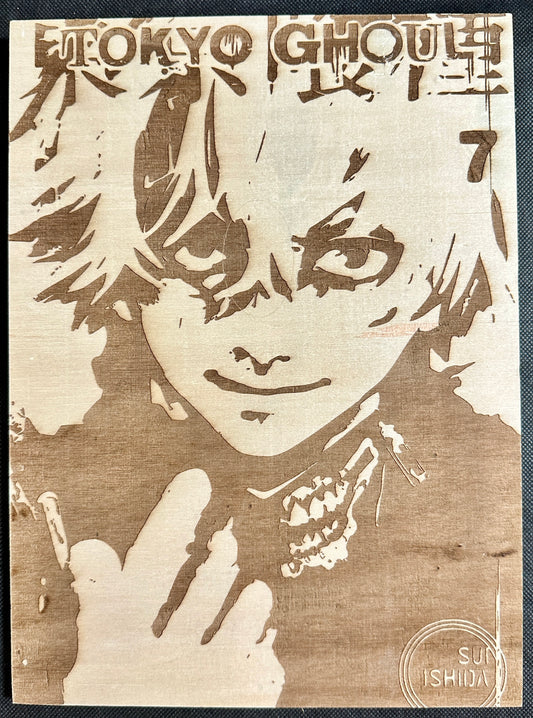 Manga Anime Cover Plaques