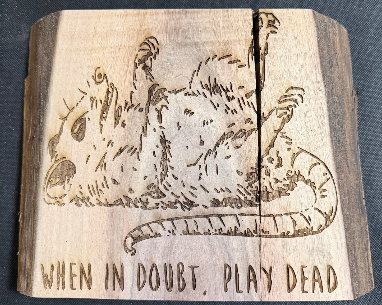 When in Doubt Play Dead Plaque