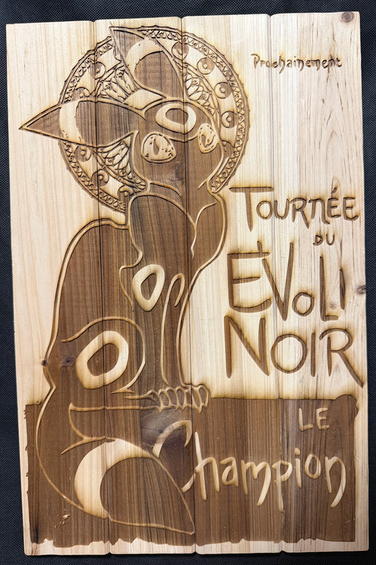 Tournée du Evoli-Noir Umbreon Pokemon Plaque