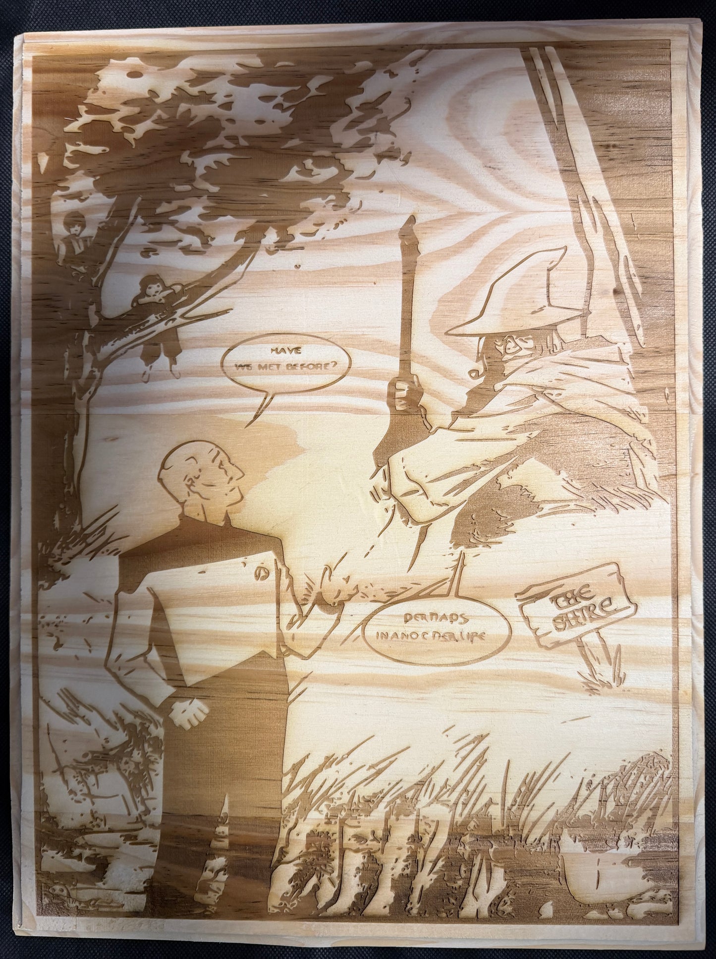Picard and Gandalf In Another Life Plaque