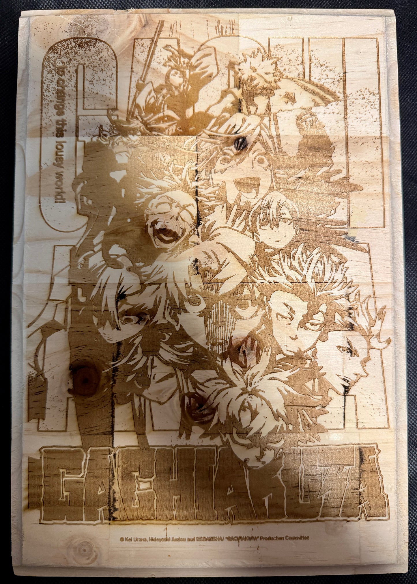 Manga Anime Cover Plaques