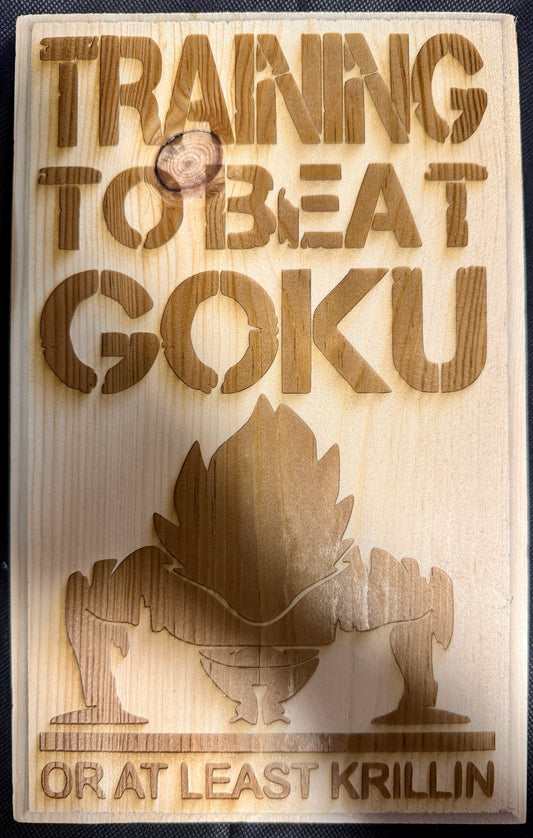 Training to Beat Goku Plaque