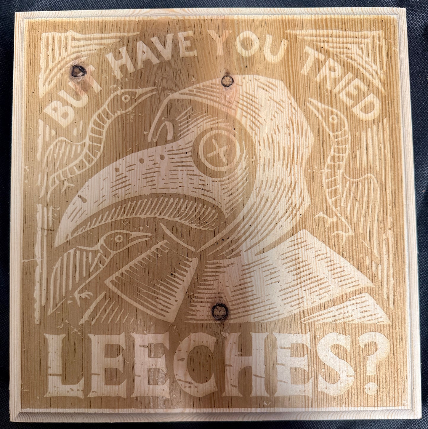 But Have You Tried Leeches Plaque