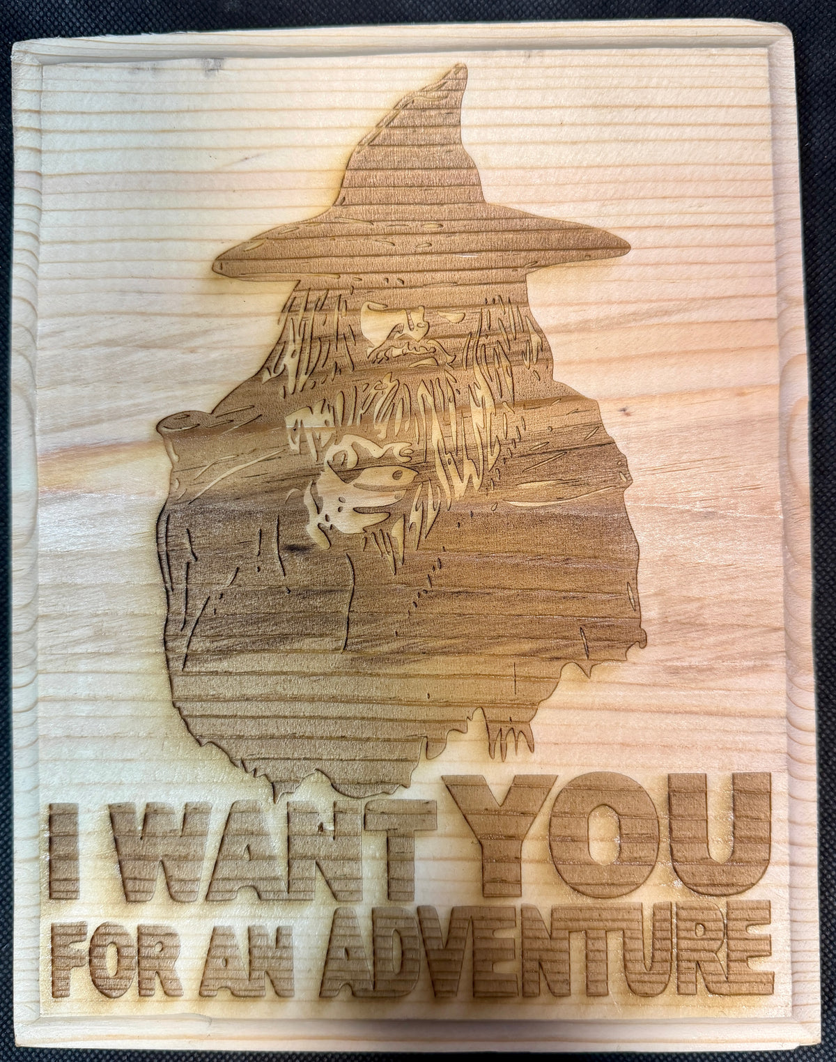 I Want You For An Adventure Plaque